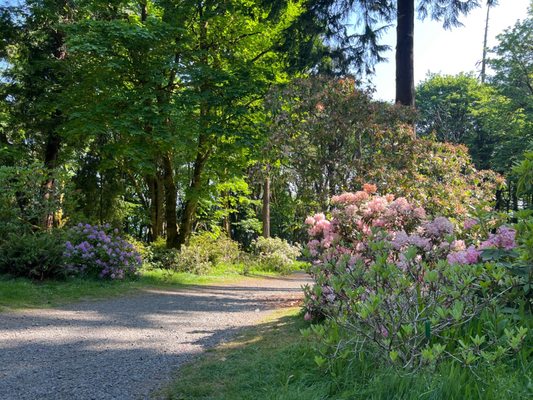 The pathway up