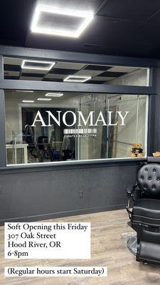 Anomaly Curated by Cristian