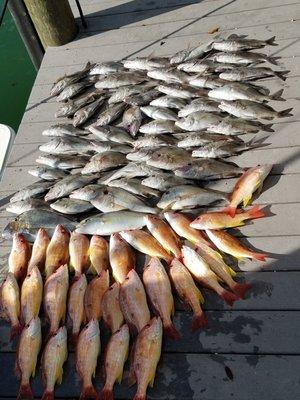 More than 80 keepers in a day's trip! Yum!