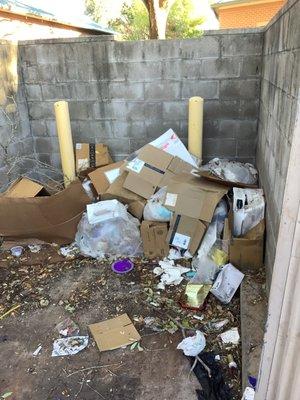 Dumpster area cleanup