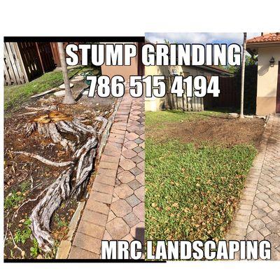 Stump grinding