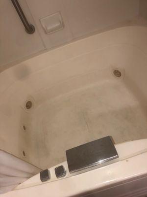 Bath/shower/jacuzzi is dirty and broke