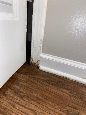 Baseboards all in the guest bathroom