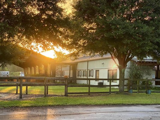 Barn & arena