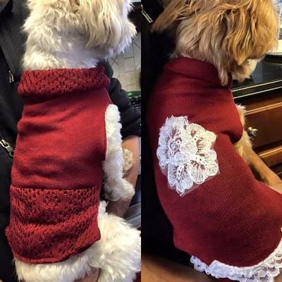 Sweaters made for dogs