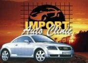 Import Auto Clinic logo