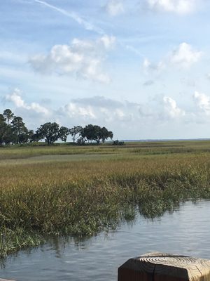 Landings On Skidaway Island