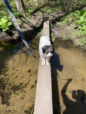 Ms. Cooks and her agility.