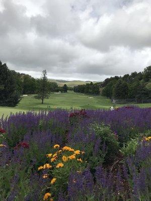 Driving range