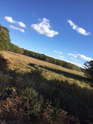 Gorgeous October day on the trail