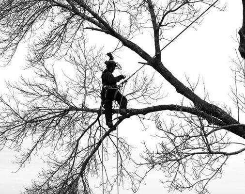 High Climbing in Temple, Tx