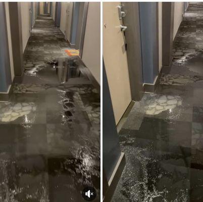 Massive flooding on multiple floors.