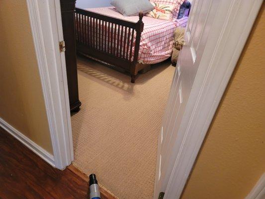 Residential carpet cleaning