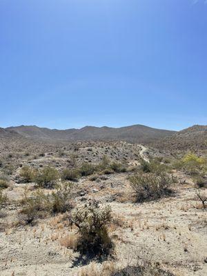 View up the trail