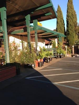 Sloat Garden Center