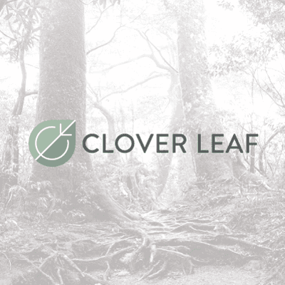 Clover Leaf Solutions, Inc.