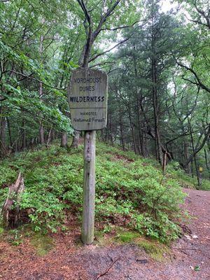 Nordhouse Dune Wilderness Area