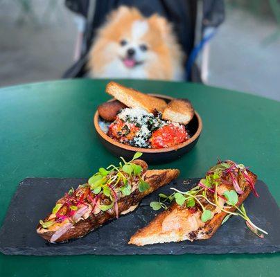 Meatballs w/ tomato, parm, focaccia ($9) + Chicken Liver Toast w/ balsamic, shallots ($11)