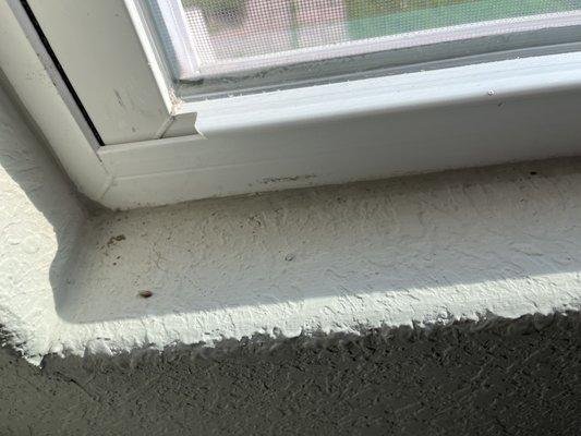 Window sill - was this even attempted to be brushed off and vacuumed?