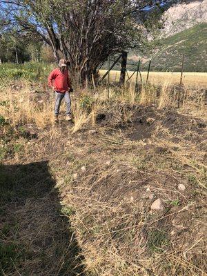 Cleaning Shrub