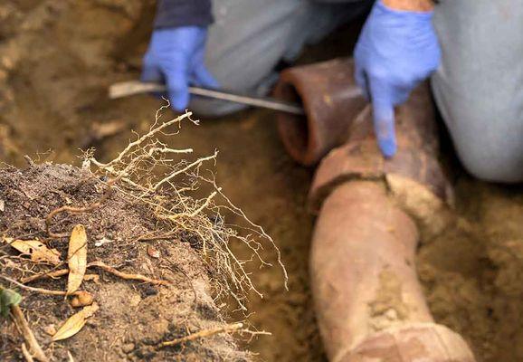 Sewer drain line cleaning and repair