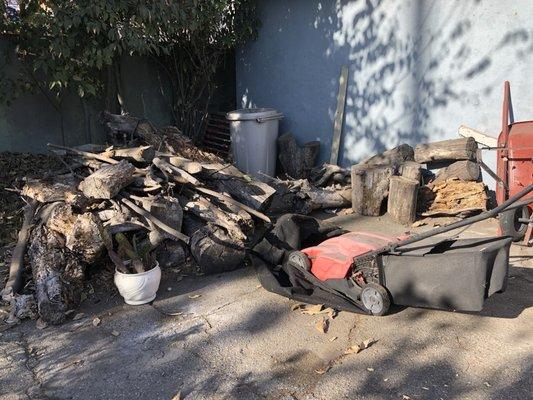 The pile of dead wood behind my garage and they cleaned it up and hauled it away in less than an hour.