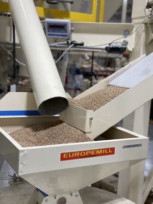 Organic wheat being fed into one of the stone mills.