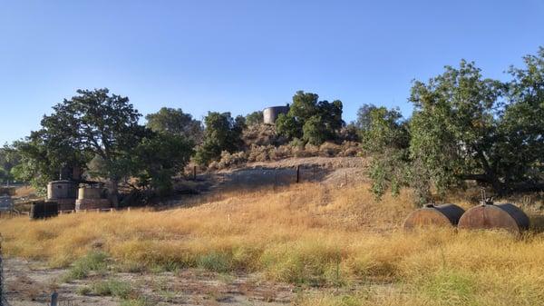 Looks like an old tank up there on the hill. Some more tanks over there in the field. The boilers are under the trees.