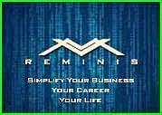 Reminis Consulting