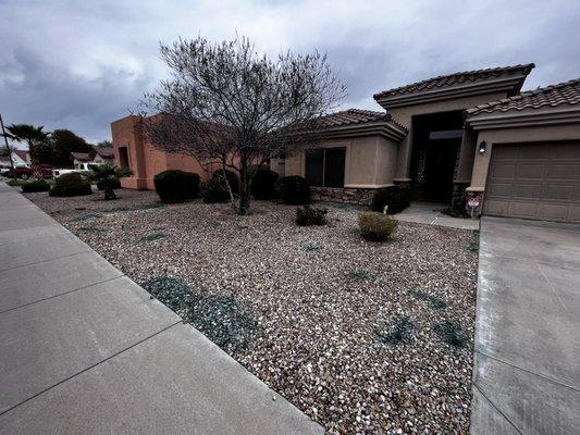 A clients house we did front yard service! We sprayed our weed killer herbicide and did regular service