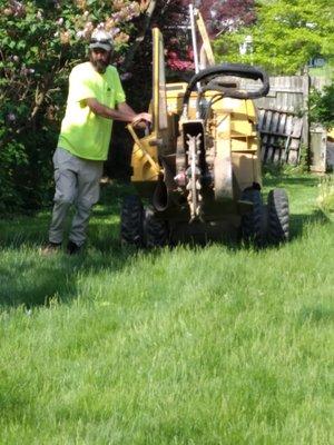 Expertly guided stump grinder.