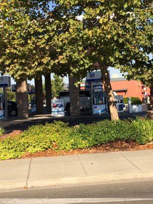 See that green lush landscape? It's at Chevron gas station!