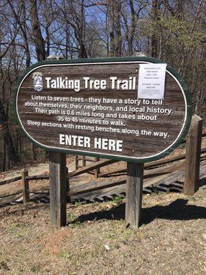 Talking Tree Trail