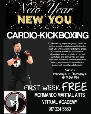 Adult Cardio Kickboxing Program