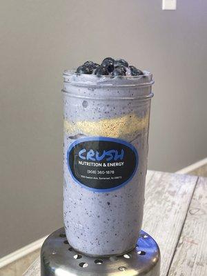 Blueberry Cheesecake Protein Shake 24g of Protein