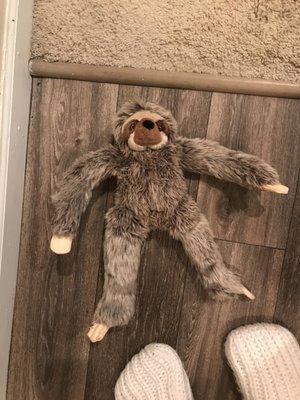 Carl loves his sloth from Bentley's!