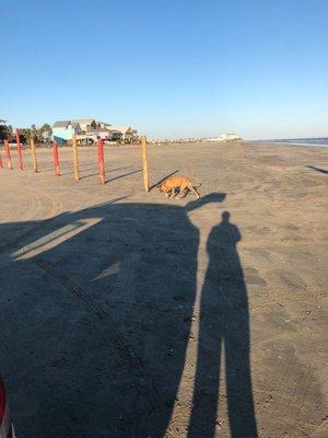 Pup's first visit to the Gulf