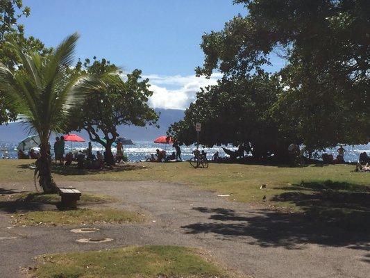 Park and Beach view. Aloha Friday's are the best