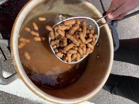 Fresh boiled peanuts!