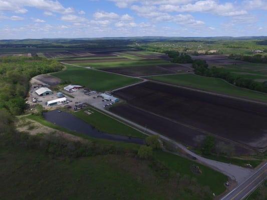 Pine Island Turf Nursery