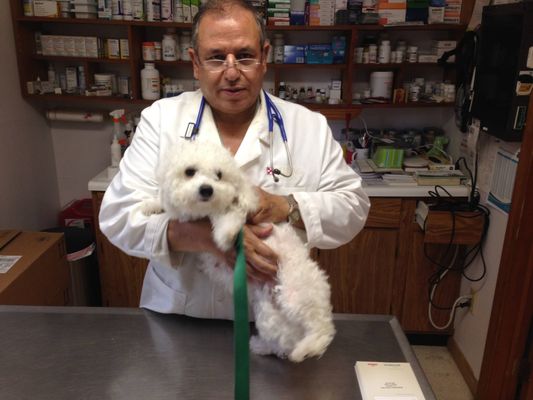 Hammonasset Animal Clinic