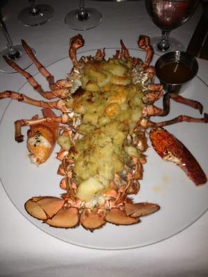 Stuffed Lobster