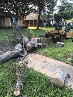 Stump grinding