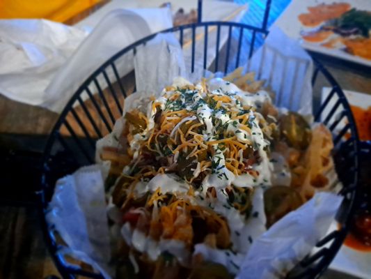 Daq loaded fries