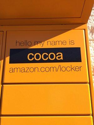 This Amazon locker location is named Cocoa.