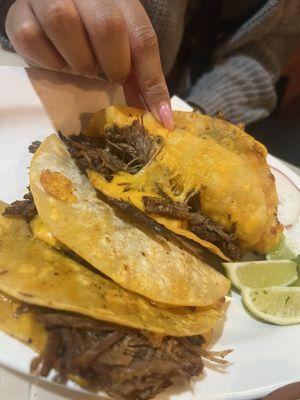 The "birria" tacos with cheddar cheese(why?) the tortilla was dry not like actually birria taco tortillas.