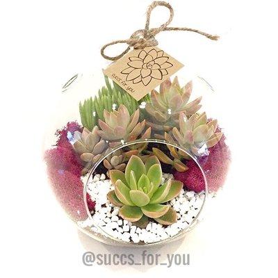 Succs For You