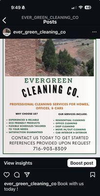 Evergreen cleaning