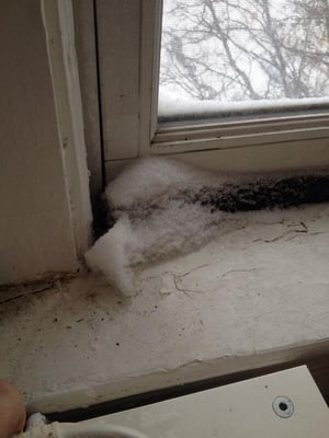 Do you like snow? How about snow in your apartment because your windows don't shut properly?