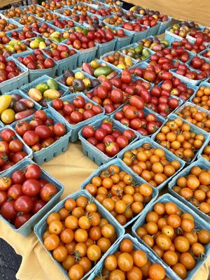 Tomatoes from starlight gardens